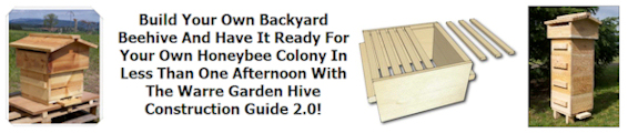 build your own beehive