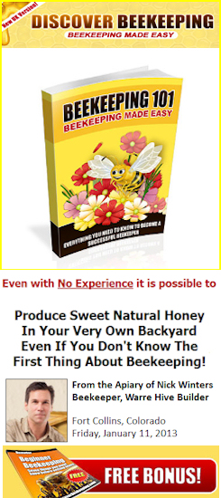 discover beekeeping honey bees