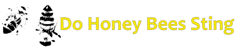 do honey bees sting